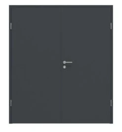 HÖRMANN Doppelflügeltür Ultramatt Anthrazit Proline Concepto Mit Zarge