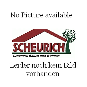 Notentriegelung (außen) NET4 Für Flügeltore 1 Notentriegelung (außen) NET4 Für Flügeltore